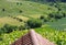 Green landscape with meadows and vineyards and trees with a tiled roof in the foreground