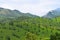 Green Landscape in Munnar, Idukki, Kerala, India - Natural Background with Mountains and Tea Gardens