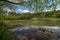 Green landscape in national park Rakov Skocjan in Slovenia during spring time