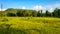 Green Landscape Nature with blue sky and clouds