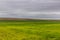 Green landscape near Lysa nad Labem, Czech Republ