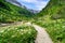 Green landscape with path between flowers and mountains in the Ordesa Pyrenees valley. Huesca