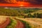 Green landscape road grass field summer sky tree