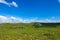 green landscape and single tree view, wonderful spring views