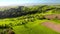 Green landscape in spring with a road, aerial footage