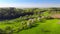 Green landscape in spring with a road shot from above