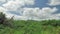 Green landscape view of Nothern Spain countryside, hills covered with grass at sunny summertime day