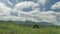 Green landscape view of Nothern Spain countryside, hills covered with grass at sunny summertime day