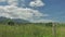 Green landscape view of Nothern Spain countryside, hills covered with grass at sunny summertime day