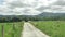 Green landscape view of Nothern Spain countryside, hills covered with grass at sunny summertime day