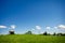 Green lanscape with one old windmill