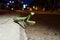 Green large mantis on the town night street