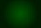 Green laser grid horizontal vertical