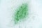 Green lather background, top view