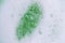Green lather background, top view