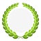 Green laurel wreath