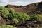 Green lava landscape