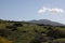 Green lava landscape