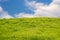 green lawn against the blue sky