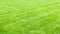 Green lawn background. a freshly mowed lawn with traces of a lawn mower. Beautifully cropped yard with green grass