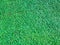 Green lawn for background. Green grass background texture