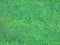 Green lawn for background. Green grass background texture