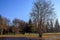 Green lawn with bare winter trees