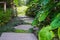 Green lawn, Beautiful stepping stone pathway with green lawn,walkway in the garden, garden landscape design