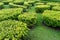 Green lawn in a colorful landscaped formal garden.