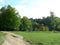 Green lawn covered with grass