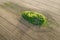 Green lawn on an empty sown field view from a drone.