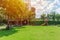 Green lawn field backyard playground nature garden outdoor