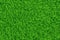 Green lawn, Grass. Pattern texture repeating seamless.