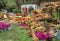 Green lawn with harvest of apples and flowers at the autumn city festival