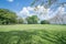 Green lawn Relaxing shady park