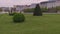 Green lawn with shrubs and trees in the city near the road and buildings