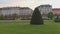 Green lawn with shrubs and trees in the city near the road and buildings