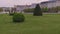 Green lawn with shrubs and trees in the city near the road and buildings