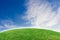 Green lawn and sky background