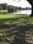 Green lawn and squirrels near the lake in Topeekeegee Yugnee park, Florida