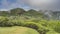 A green lawn surrounded by lush thickets of tropical vegetation.