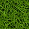 Green lawn texture with water drops in a seamless pattern