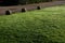 Green lawn with three ornamental stone orbs behind with path beyond