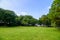 Green lawn and trees in garden