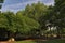 green lawn and trees of a garden