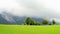 Green lawn and trees with wooden stable in ramsau dachstein