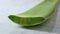 Green leaf of of aloe vera, concept of beauty cream derived from Aloe close upwhole