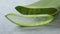 Green leaf of of aloe vera and slice, concept of beauty cream derived from Aloe close upwhole