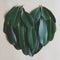 Green leaf arranged into heart shape texture background, ecology passion concept, 1:1