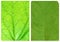 Green leaf backgrounds patterns